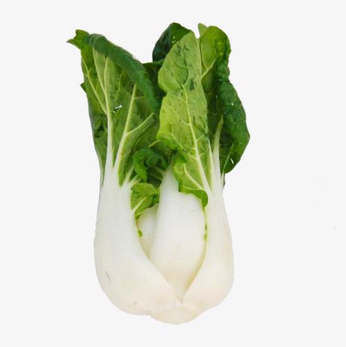 菠菜