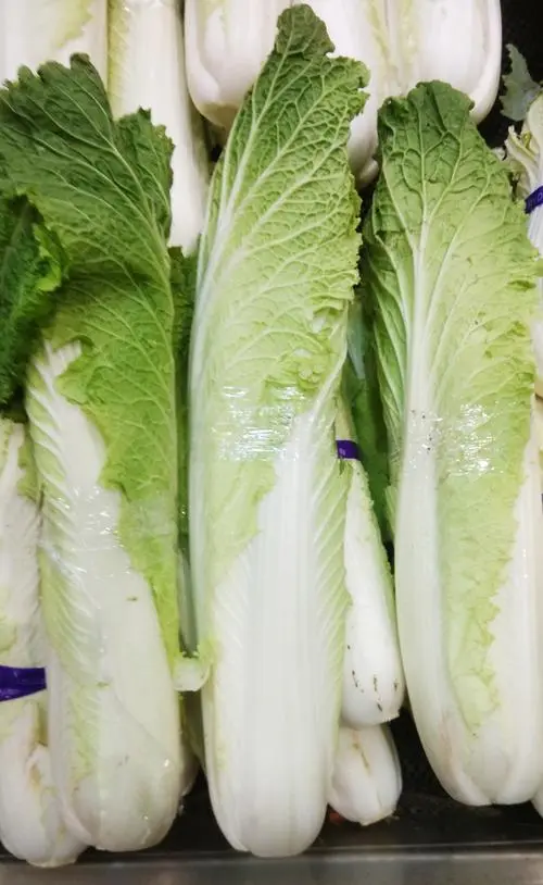 長(zhǎng)白菜